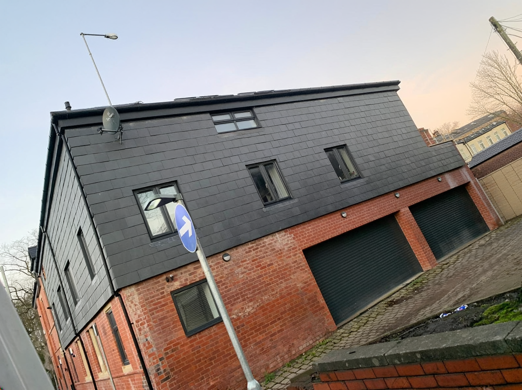 Firefly_Remove the tree branches at the top of the image please 817233